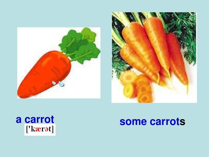 carrot，carrots